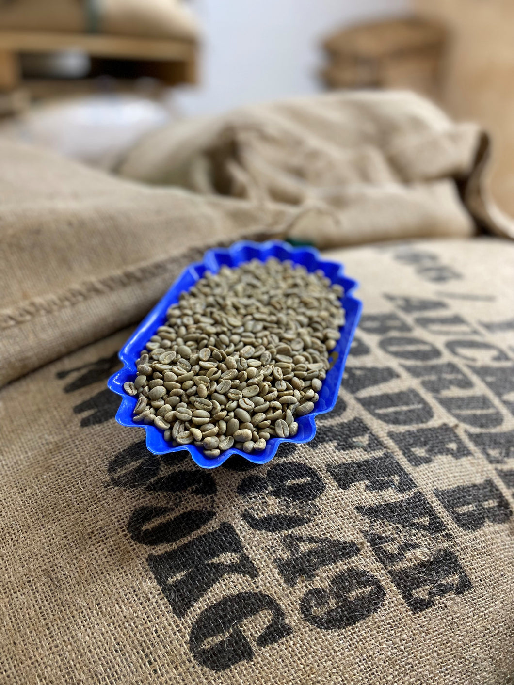 Green Coffee Beans- PNG
