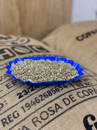 Green Coffee Beans- Honduras Copán Reserve 1kg