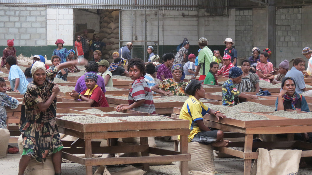 Green Coffee Beans- PNG Western Highlands B 1kg